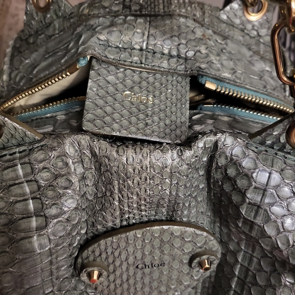 Authentic Rare Chloe Python square bag - Picture 3 of 14